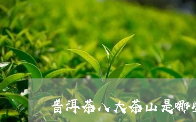 普洱茶八大茶山是哪些/2023082941613