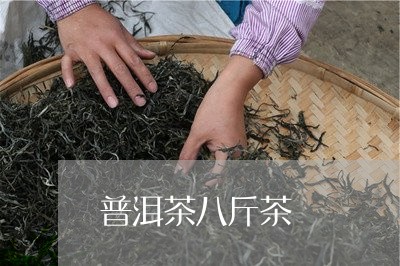 普洱茶八斤茶/2023042787138