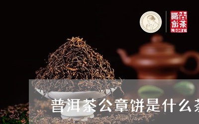 普洱茶公章饼是什么茶/2023100793504