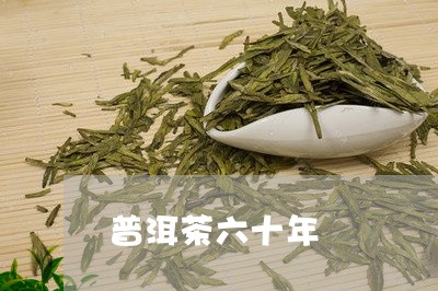 普洱茶六十年/2023042800548