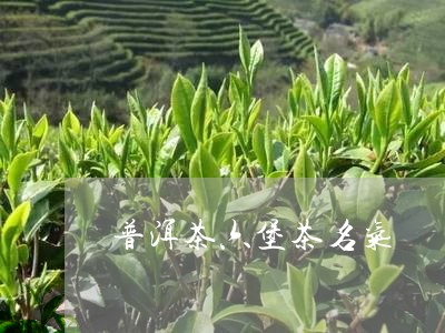 普洱茶六堡茶名气/2023070958279