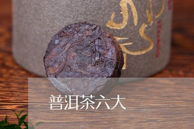 普洱茶六大/2023090628479