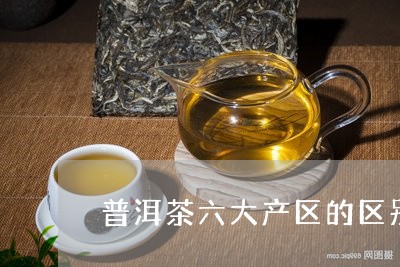 普洱茶六大产区的区别/2023092993706