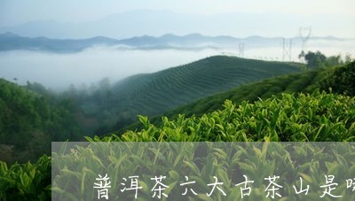 普洱茶六大古茶山是哪/2023072254804