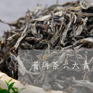 普洱茶六大古茶山比较/2023092745361