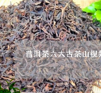 普洱茶六大古茶山视频/2023101726169