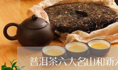 普洱茶六大名山和新六大名山/2023052774828