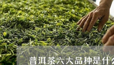 普洱茶六大品种是什么牌子/2023082967379