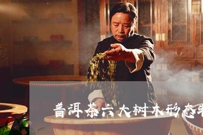 普洱茶六大树木形态特点/2023121672794