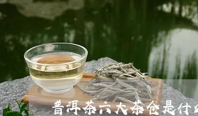 普洱茶六大茶仓是什么茶/2023102413614