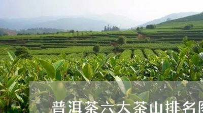 普洱茶六大茶山排名图片大全/2023052885036