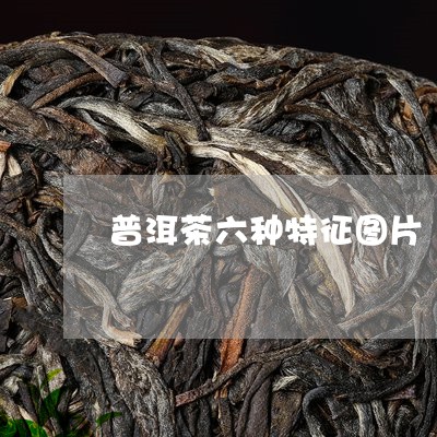 普洱茶六种特征图片/2023071039262