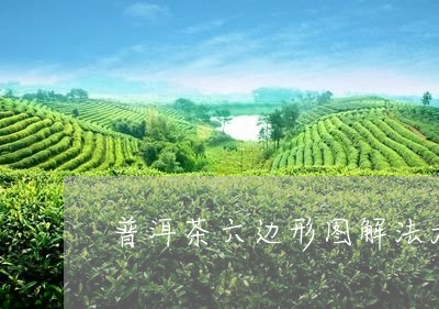 普洱茶六边形图解法大全/2023081674714