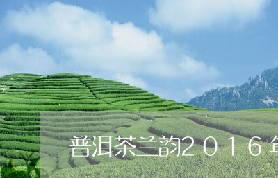 普洱茶兰韵2016年/2023100812604