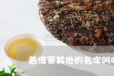 普洱茶其他的名字叫啥/2023082989593