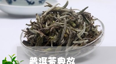 普洱茶典故/2023090636137