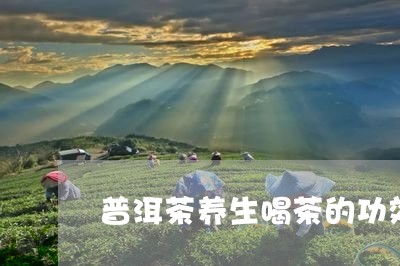 普洱茶养生喝茶的功效作用/2023082958414