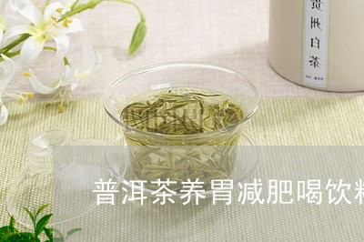 普洱茶养胃减肥喝饮料/2023080148562