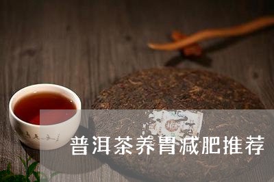 普洱茶养胃减肥推荐/2023091382806