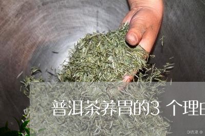 普洱茶养胃的3个理由是/2023120796168