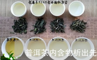 普洱茶内含物析出先后/2023080251594