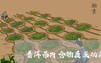 普洱茶内含物质及功效/2023100649471