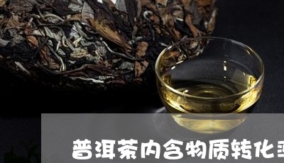 普洱茶内含物质转化率高吗/2023112480513