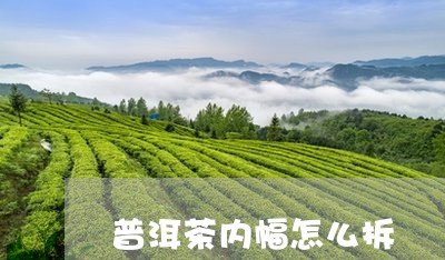 普洱茶内幅怎么拆/2023120307269