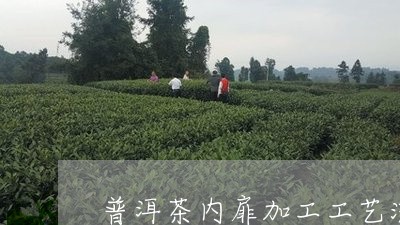 普洱茶内扉加工工艺流程/2023110636149