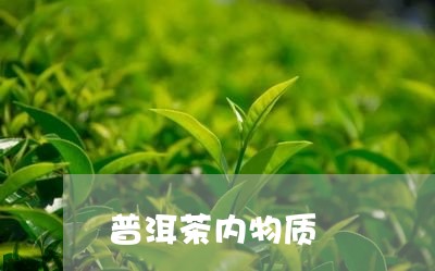 普洱茶内物质/2023091315846