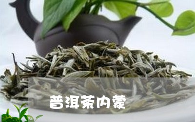 普洱茶内蒙/2023090563937