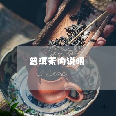 普洱茶内说明/2023082611896