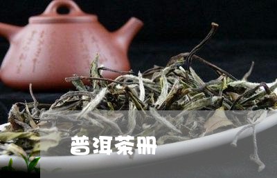 普洱茶册/2023110853947