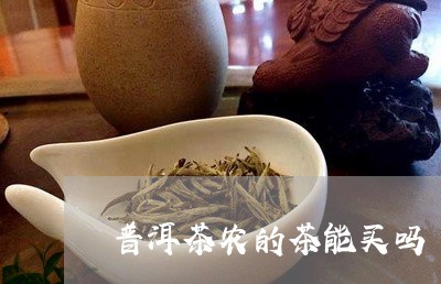 普洱茶农的茶能买吗/2023120561483