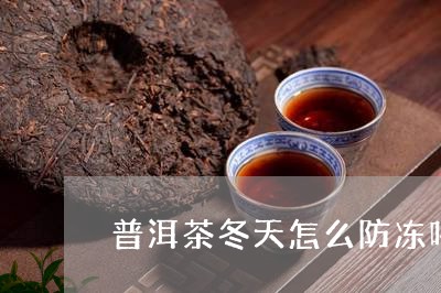 普洱茶冬天怎么防冻喝好/2023121684826