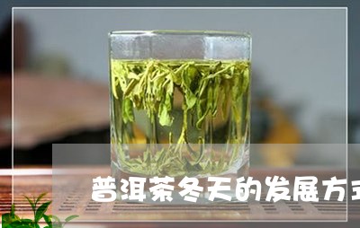 普洱茶冬天的发展方式是什么/2023082963017