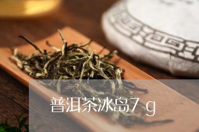 普洱茶冰岛7g/2023102691513