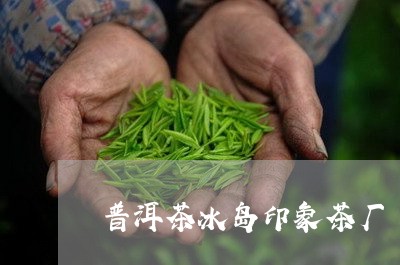 普洱茶冰岛印象茶厂/2023071165149