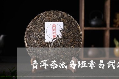 普洱茶冰岛班章易武南糯/2023050502717