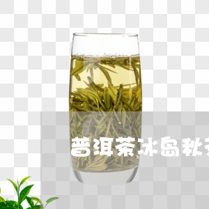 普洱茶冰岛秋茶价格是多少/2023112810405