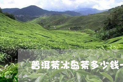 普洱茶冰岛茶多少钱一饼/2023050567371