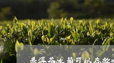 普洱茶冰箱可以存放吗/2023062763926