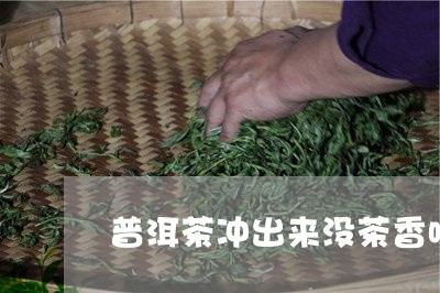 普洱茶冲出来没茶香味/2023062248382