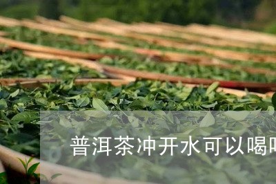 普洱茶冲开水可以喝吗/2023061629362