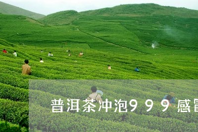 普洱茶冲泡999感冒/2023062748472