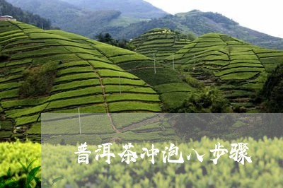 普洱茶冲泡八步骤/2023081677260