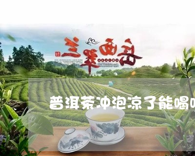 普洱茶冲泡凉了能喝吗/2023110689726