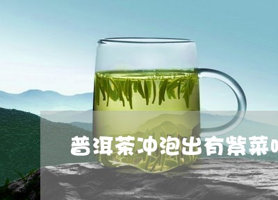 普洱茶冲泡出有紫菜味/2023080290626