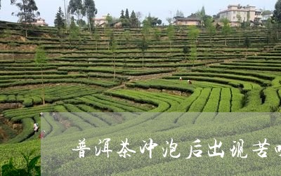 普洱茶冲泡后出现苦味/2023062986282