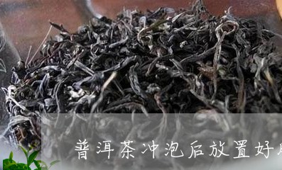 普洱茶冲泡后放置好脏的东西/2023082867048